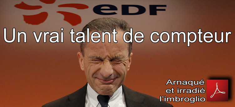 Linky_Un vrai_talent_de_compteur_compteur_Arnaque_et_irradie_Flyer_750_20_02_2013